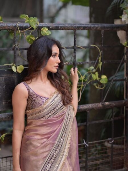 Soft Twil Net Saree