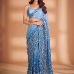 Heavy Fox Georgette Half Padding