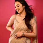 Beautiful Sequins Saree