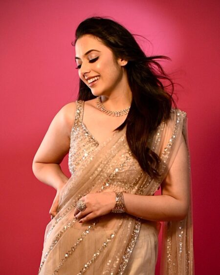 Beautiful Sequins Saree