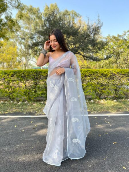 Organza Gottawork saree